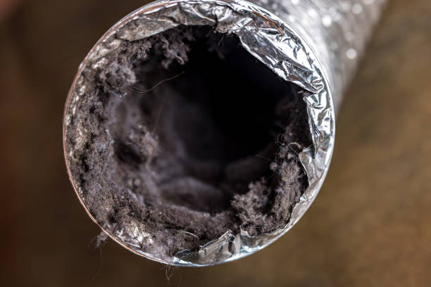 Best Air Duct Mold Removal  in Fairburn, GA